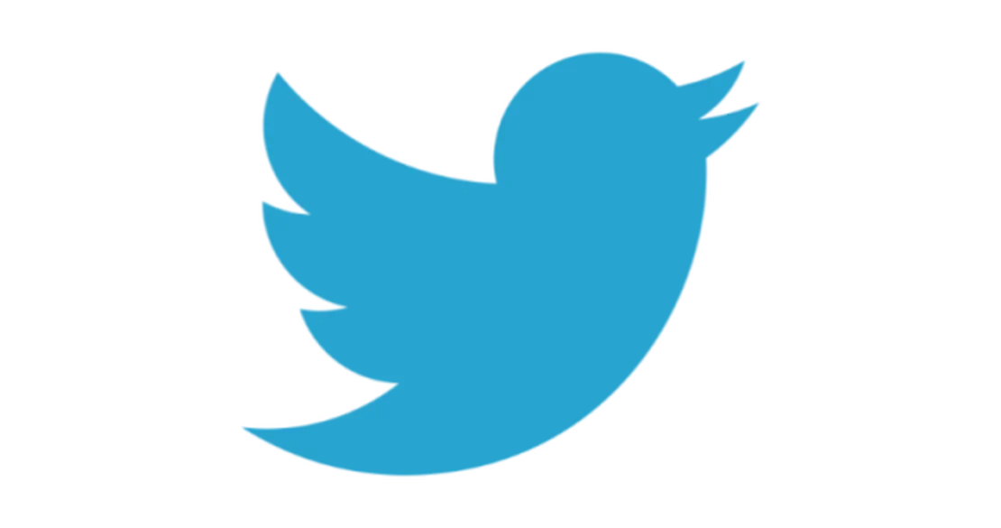 How to Set Up Twitter Developer API for BluebirdPS