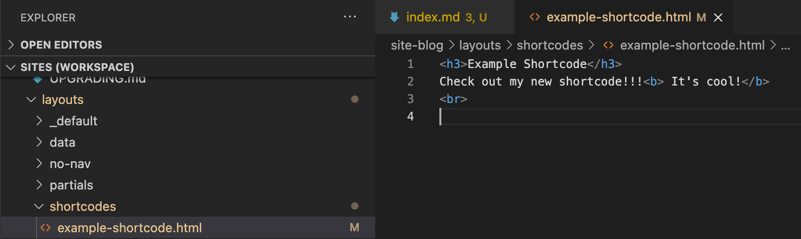 image showing a new file at path ./layouts/shortcodes/example-shortcode.html