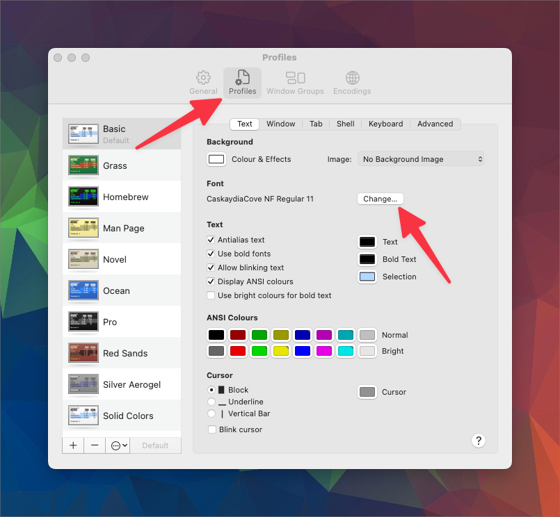 image shows the preferences window with the profiles tab selected and the text section selected. The change button is highlighted.