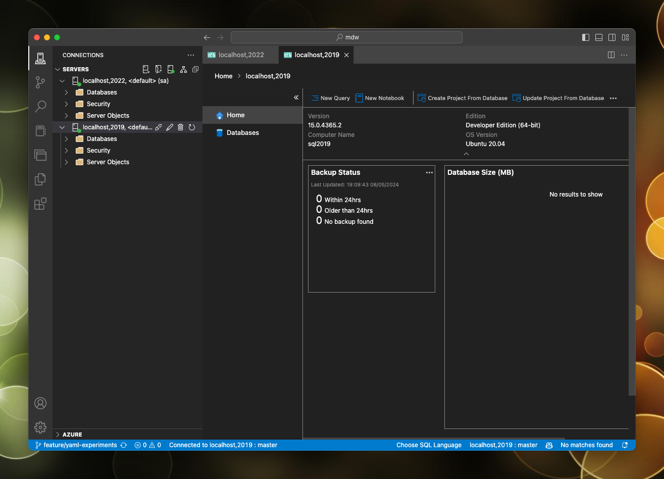 The screenshot shows Azure Data Studio connected to the database.