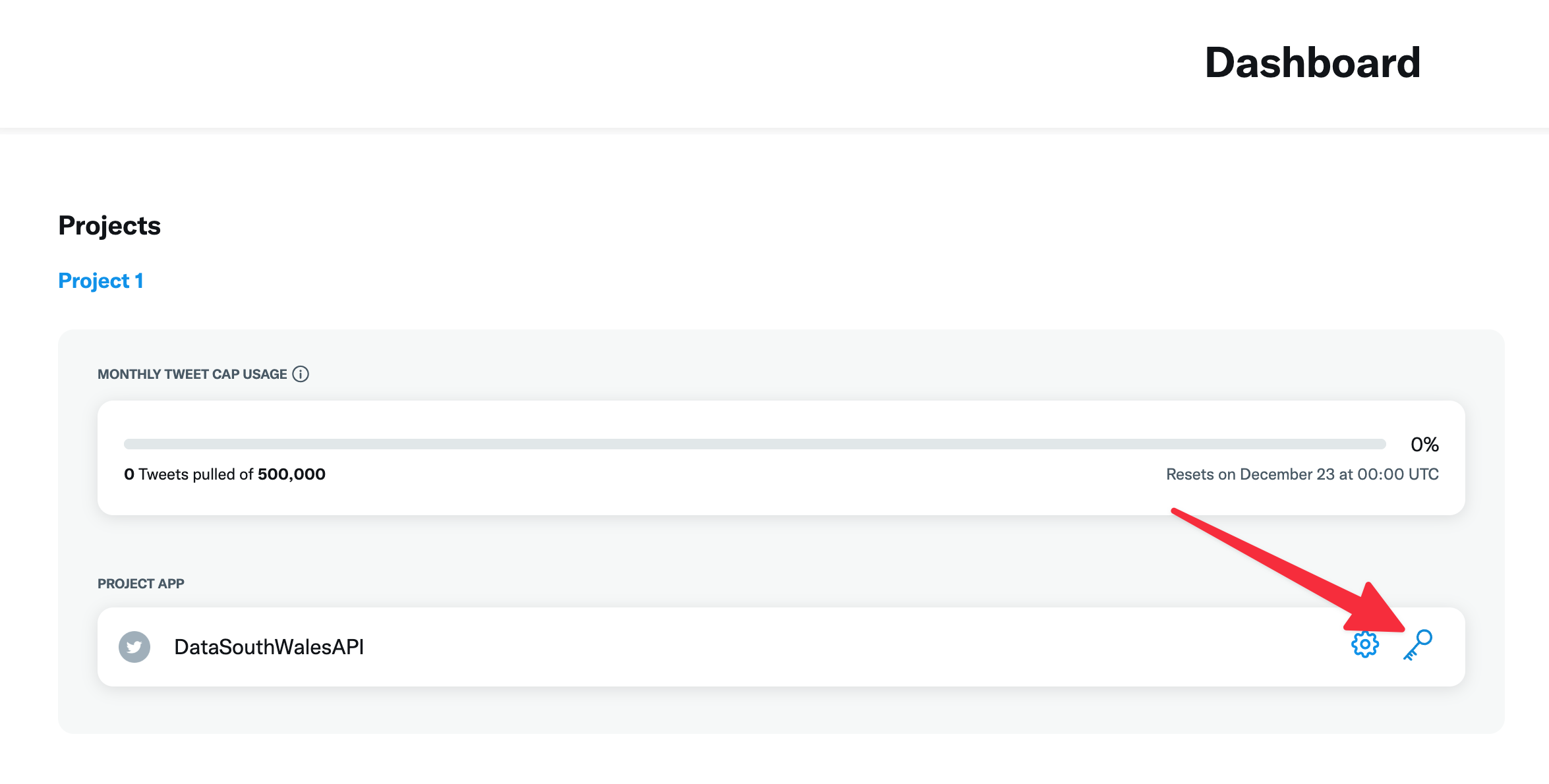 the image shows your twitter dashboard, there is an entry for your project, to the right of the name are two icons, settings and keys