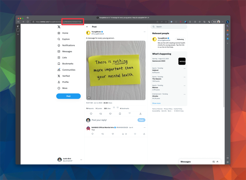 Shows a tweet whose URL is https://twitter.com/YoungMindsUK/status/1664934219783471104, the ID is the number part: 1664934219783471104